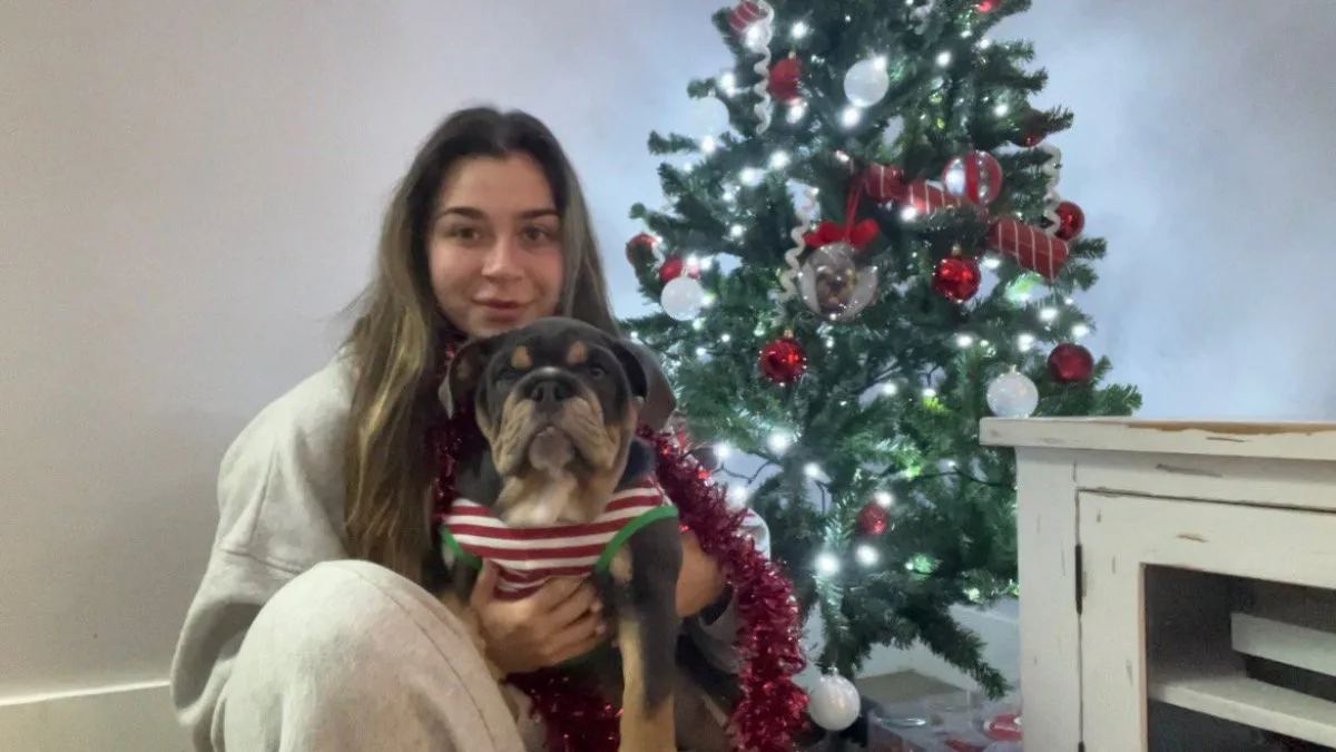 The Great Christmas Tree Debate: When Should Decorations Go Up?