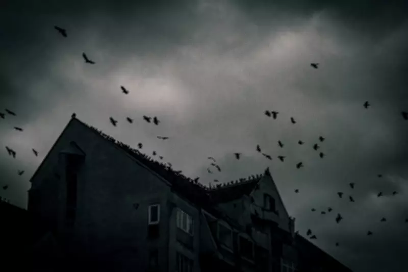 Why Some People Are More Prone to Paranormal Experiences, Expert Explains