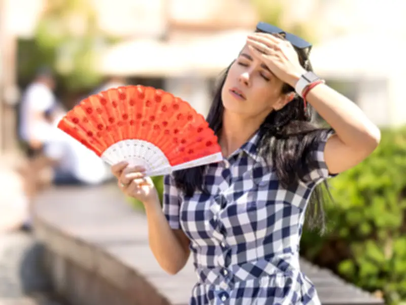 Why You Gain Weight During a Heatwave – It's Not Fat