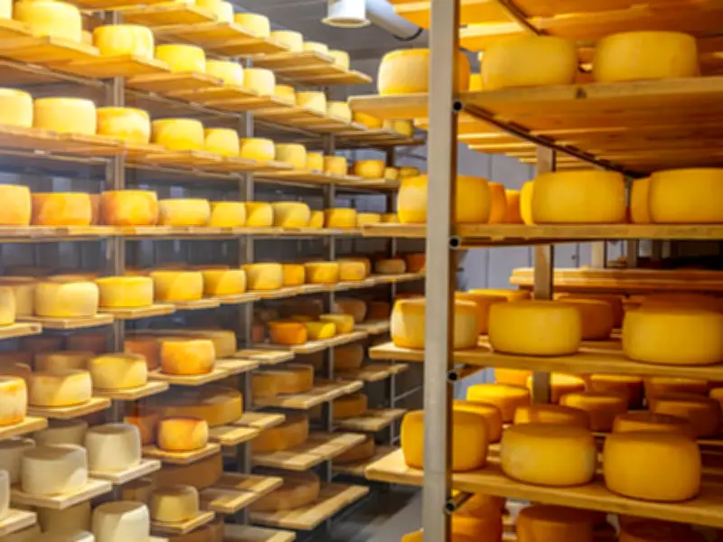 Widow Sues Cheese Company for £200k After Husband's Listeria Death