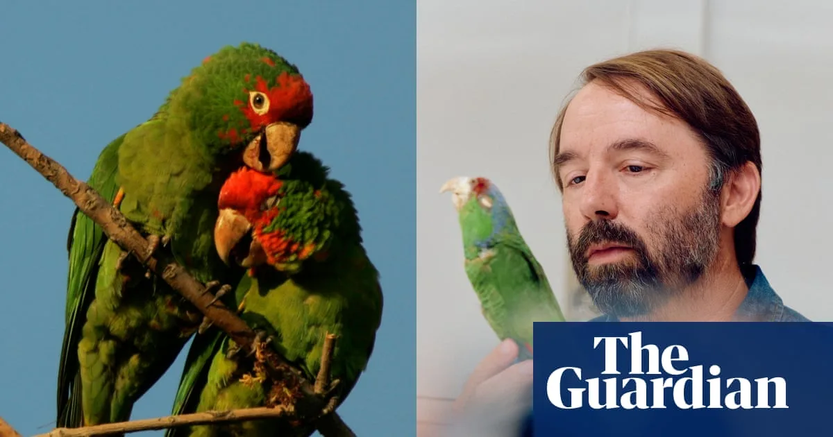 Wild Parrots Thrive in Los Angeles, Aiding Conservation Efforts