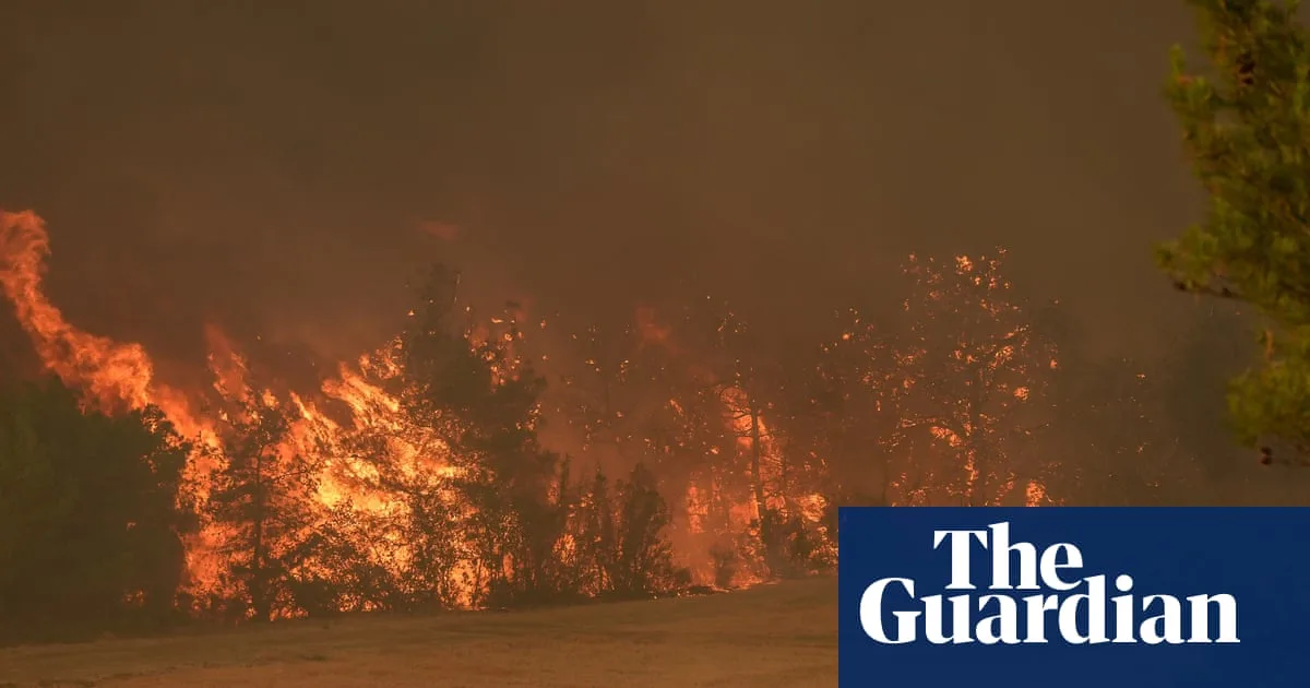 Wildfire kills at least 10 forest workers and rescuers in Turkey