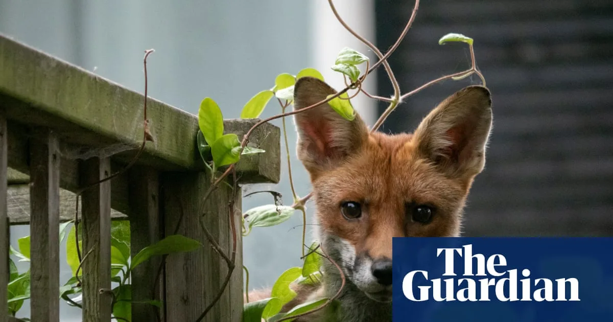 Wildlife visits offer comfort in times of grief, readers say