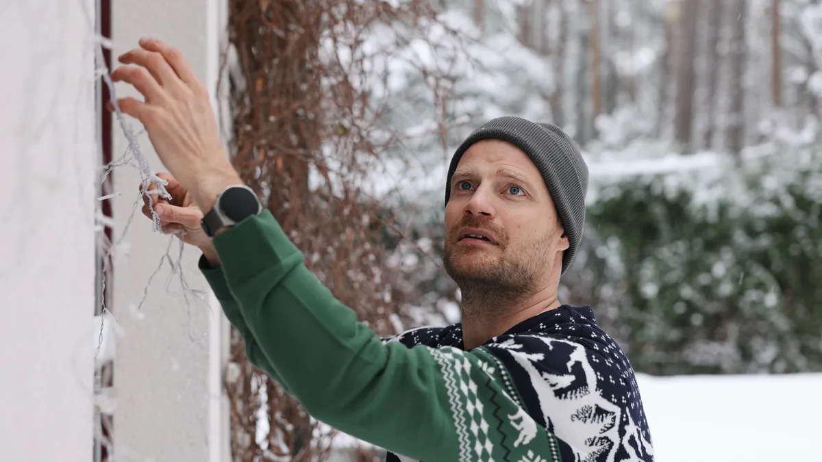 Bird Experts Urge 9pm Switch-Off for Christmas Lights to Protect Wildlife