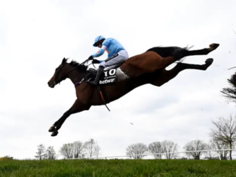 Willie Mullins' Champion Jumper Un De Sceaux Dies in Paddock Accident at 18
