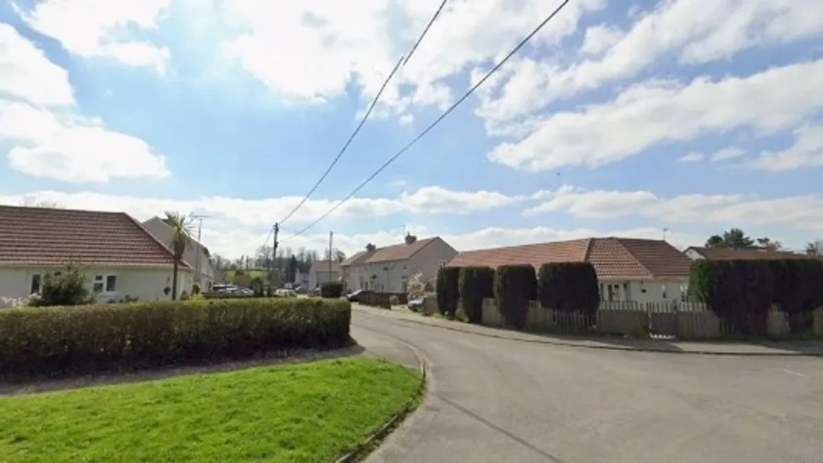 Teenager Mauled by Two Dogs in Wiltshire Village, Armed Police Intervene