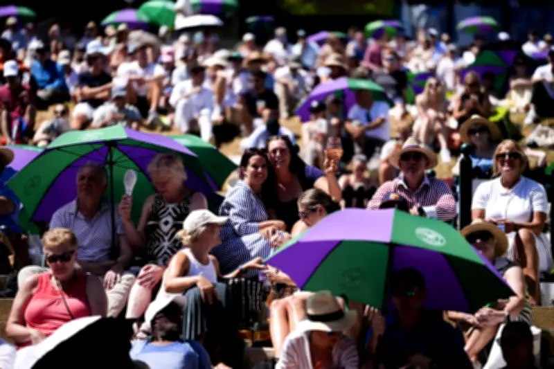 Wimbledon 2026 Weather Forecast: No Rain or Heatwave on Opening Days