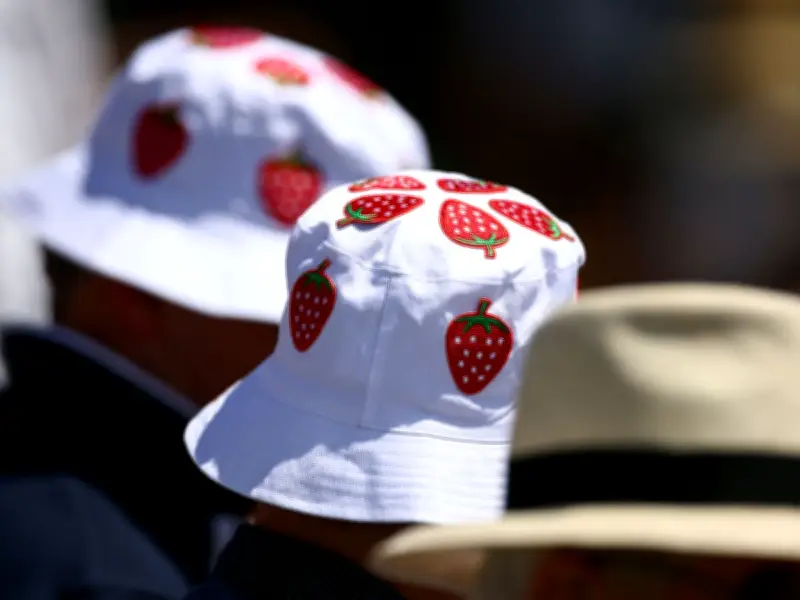 Wimbledon VIPs Discouraged from Watching World Cup on Phones