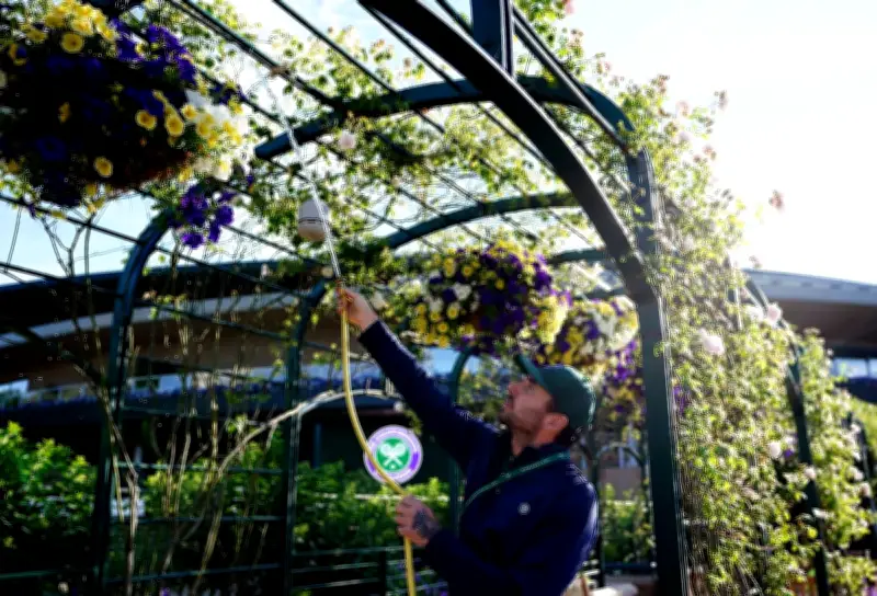 Wimbledon's Iconic Hydrangeas at Risk as Heatwaves Force Drought-Friendly Shift