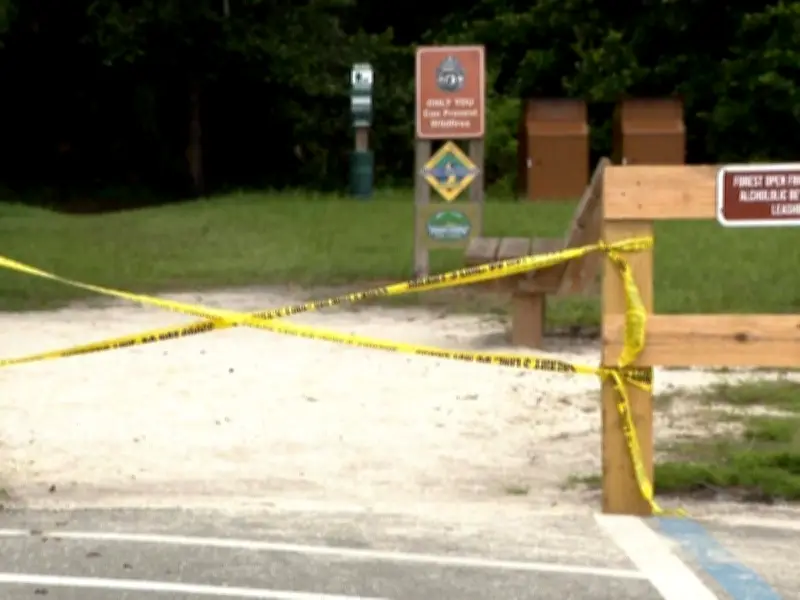 Woman, 31, dies after 13ft alligator rips off arm in Florida attack
