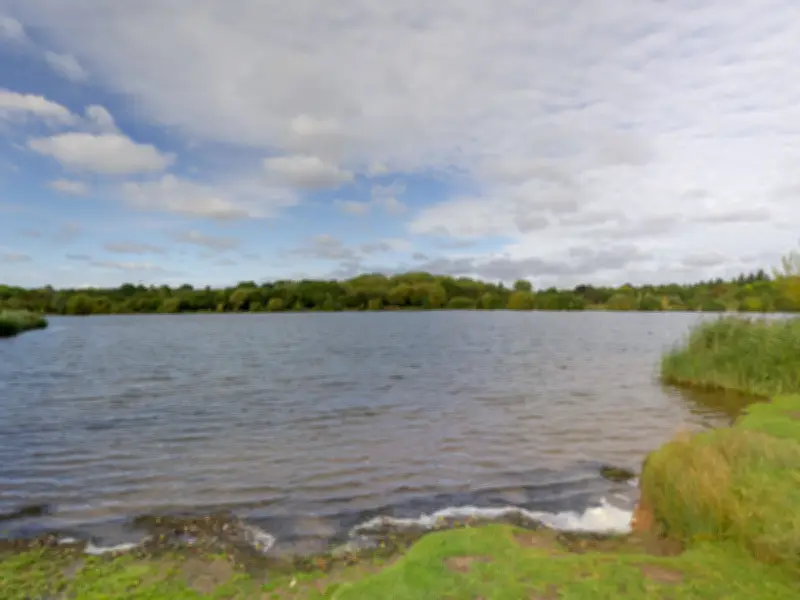 Woman, 55, Dies After Being Pulled from Pool at West Bromwich Park