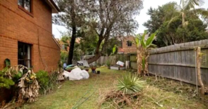 Woman Almost in Tears After Hero Stranger's Heartwarming Garden Surprise