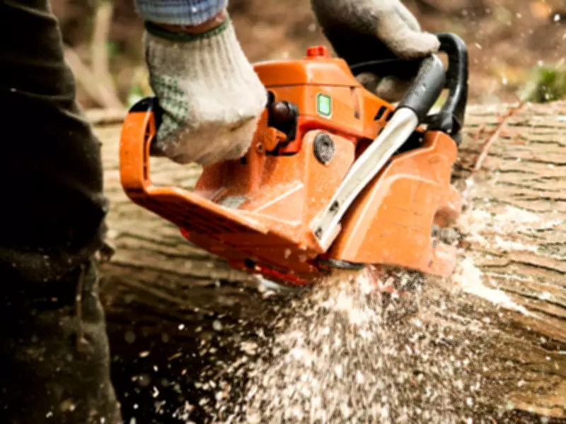 Woman Claims Neighbour Cut Down Her Trees and Sent £1,000 Bill