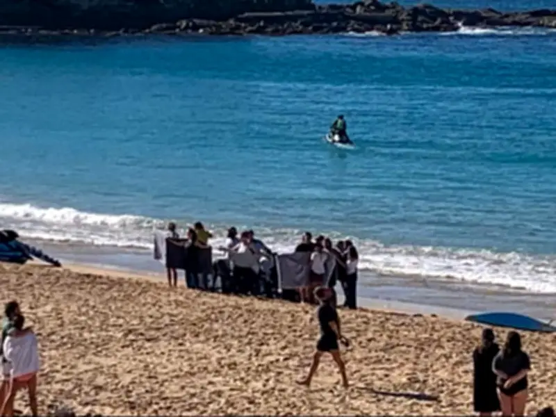 Woman critical after shark attack at Sydney's Coogee Beach