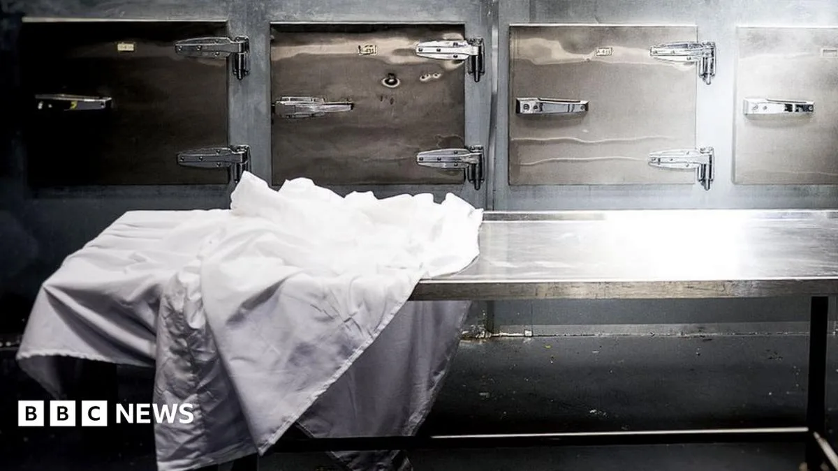 'Dead' Woman Found Alive in South Africa Morgue Fridge