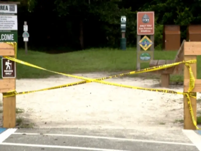 Woman Dies After Alligator Bites Off Arm in Florida River Attack