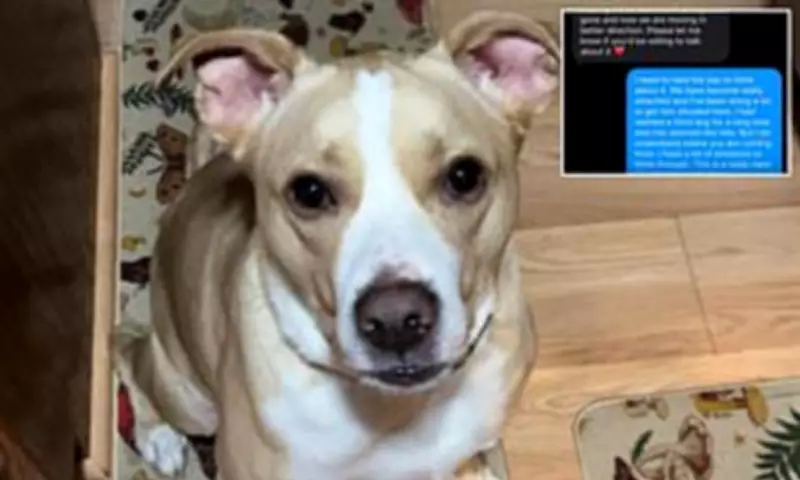 Woman Heartbroken After Newly Adopted Dog's Previous Owner Asks for Him Back After One Week