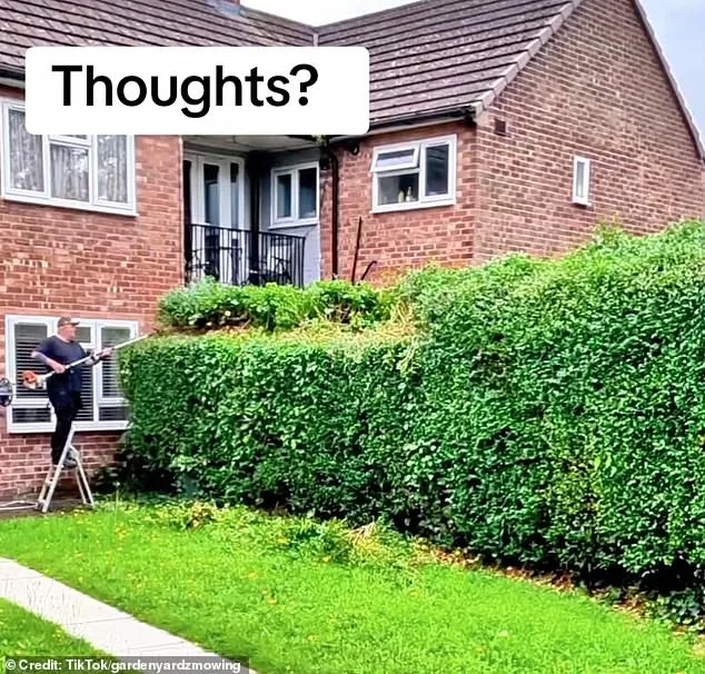 Gardener Sparks Debate After Trimming Neighbour's Hedge Without Permission
