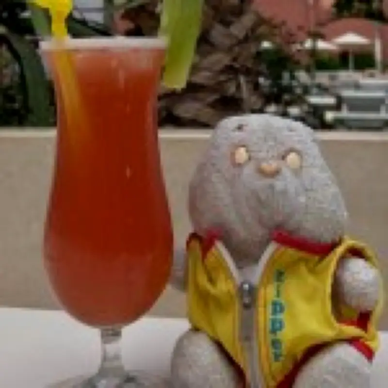 Woman's 40-Year Hunt for Stolen Care Bear in Spain