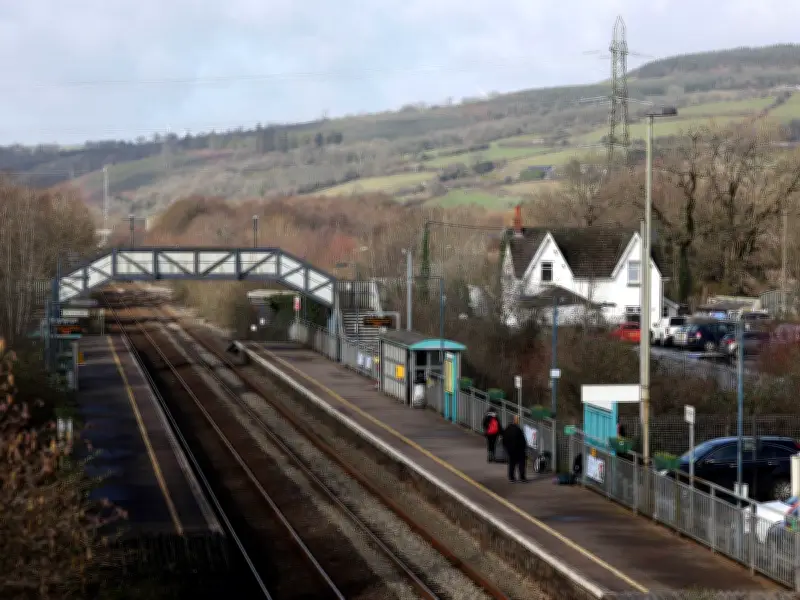 Women critically injured after telegraph pole falls at Welsh station