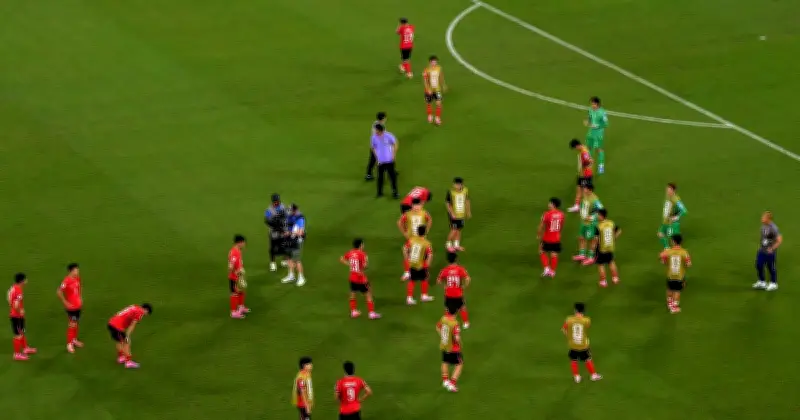 World Cup boss under fire as fans petition for sacking after South Africa loss