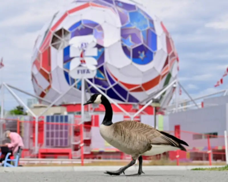 World Cup Week: Hope, Memes, and Dreams Before the Action Begins