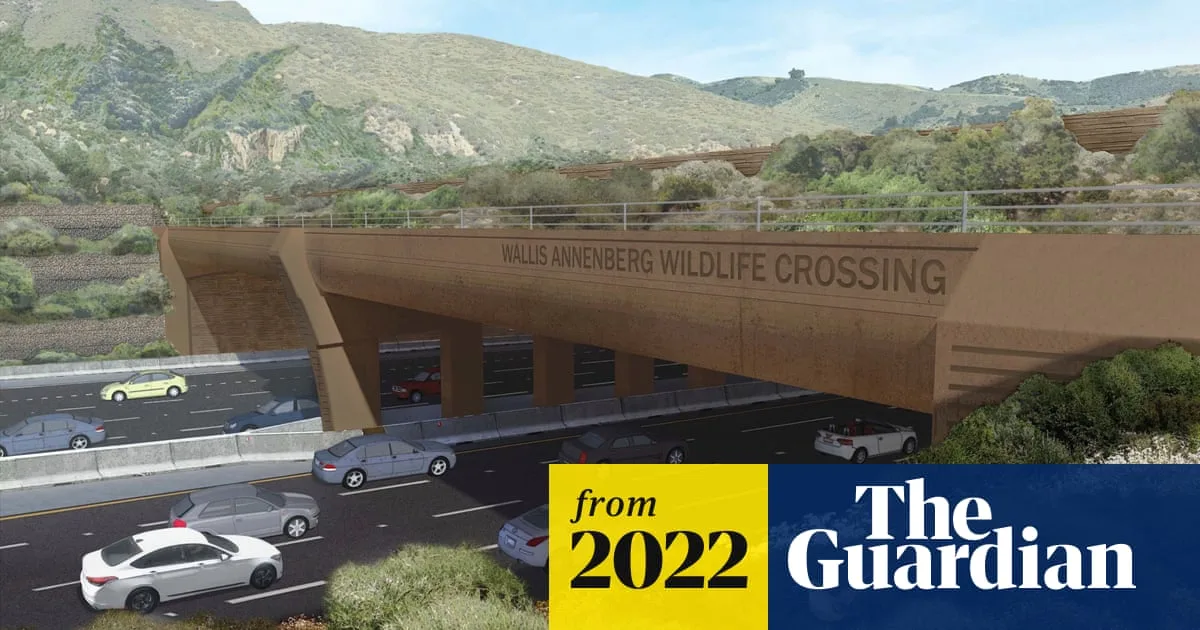 World's Largest Wildlife Bridge Opens After £845m Cost