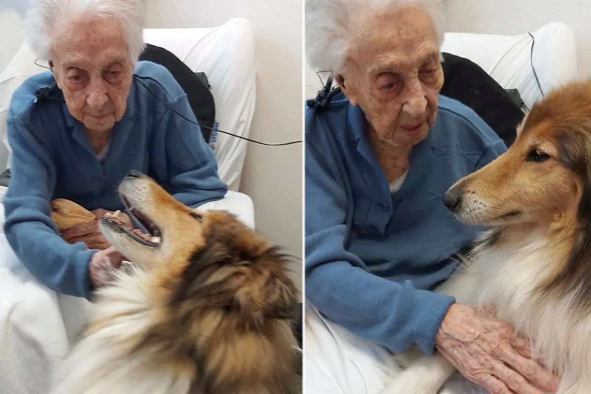 Gut Health of World's Oldest Person Reveals Key to Longevity