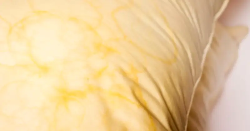 Yellow Duvets and Pillows Whitened with Baking Soda and Dish Soap