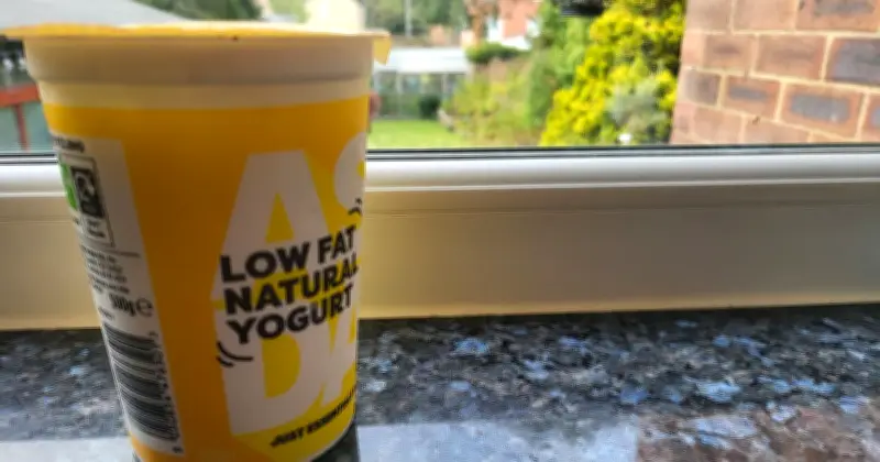 Yoghurt on Windows: Cheap Trick to Keep Homes Cool in Heatwave