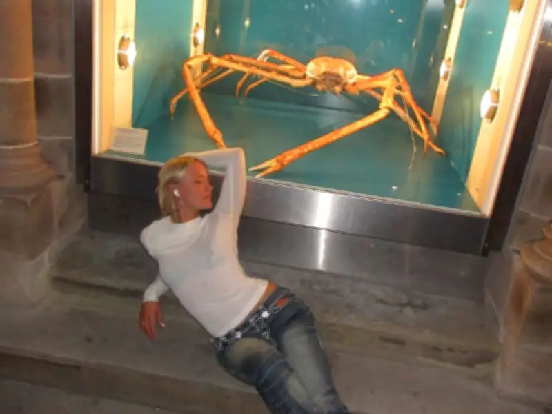 Zara Larsson's Bizarre Manchester Stop: Poses with Giant Spider Crab