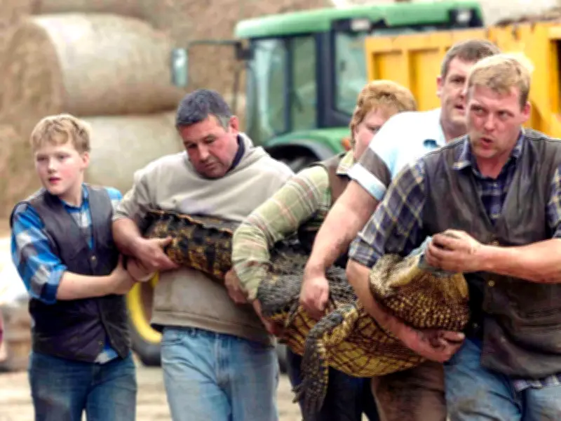 Zoo Reopens After Boy, 3, Thrown into Crocodile Enclosure