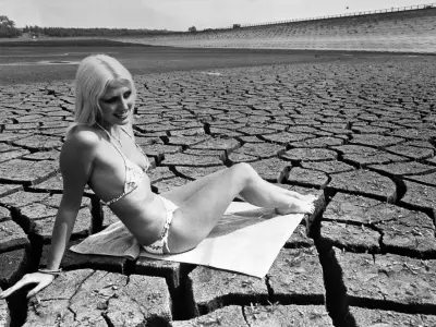 1976 UK Heatwave: Dry Taps, Ladybird Swarms, and Record Temperatures