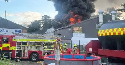 All Animals Killed in Fire at The Jungle Box Mini-Zoo in UK