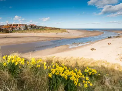 Alnmouth Beach Named Best in North East, Beats Bamburgh and Embleton