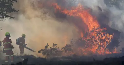 El Niño 'Super' Event Warning: UK Could Face More Heatwaves, Experts Say