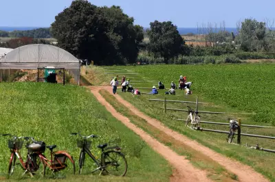 Four Migrant Farm Workers Burned Alive in Italy Minivan Attack