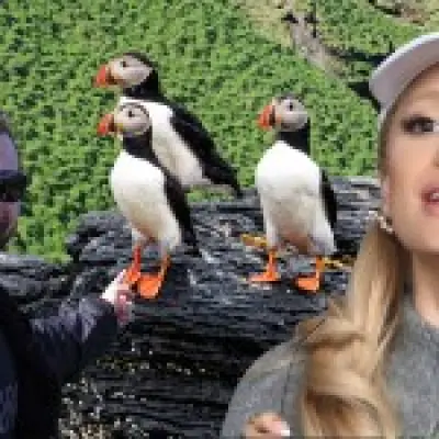 From Skeptic to Twitcher: My Icelandic Puffin Adventure with Ariana Grande's New Obsession