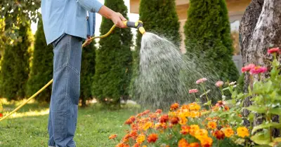 Gardeners Told to Water Plants at Two Key Times for Summer Success