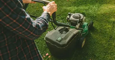 Gardeners' World Expert Shares 4 Tips to Boost Your Lawn in Late June