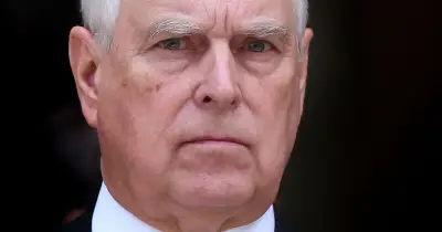 Government Rejected Andrew's Offer to Help Steel Firm Find Investors