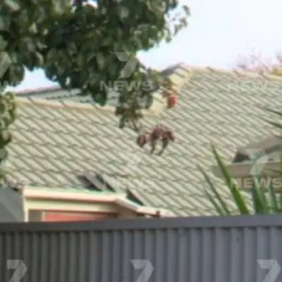 Grandmother Frozen in Fear After Intruder Threat