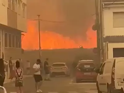 Hundreds Evacuated as 65ft Wildfire Flames Engulf Spanish Town
