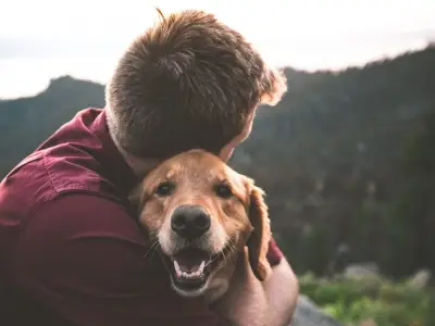 Six key signs of heat stroke in dogs as UK temperatures hit 34C