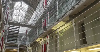 Three UK Prisoners Hospitalised from Spider Bites, One May Lose Leg