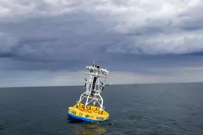 Trump Cuts Force Shutdown of Critical Ocean Climate Observatory Network