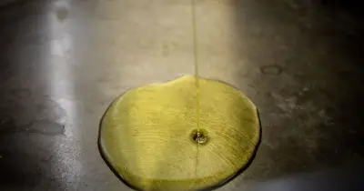 UK Households Warned: Stop Pouring Olive Oil Down Drains to Avoid Costly Blockages