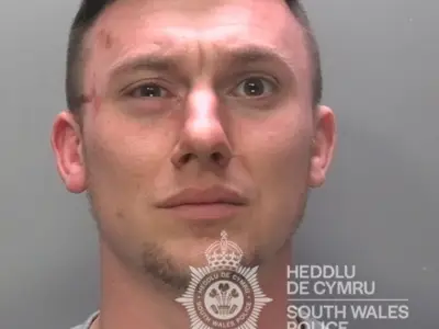 Van Driver Jailed for Attacking Man and Killing Dog with Hockey Stick and Knife