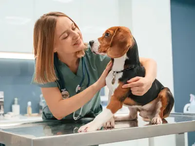 Vets Reveal Dog Breed They'd Never Own: French Bulldog Tops List