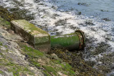 Welsh Water Fined £44.7 Million for Sewage Spill Failures